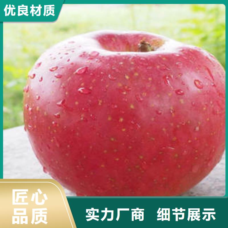 紅富士蘋果嘎啦蘋果N年大品牌