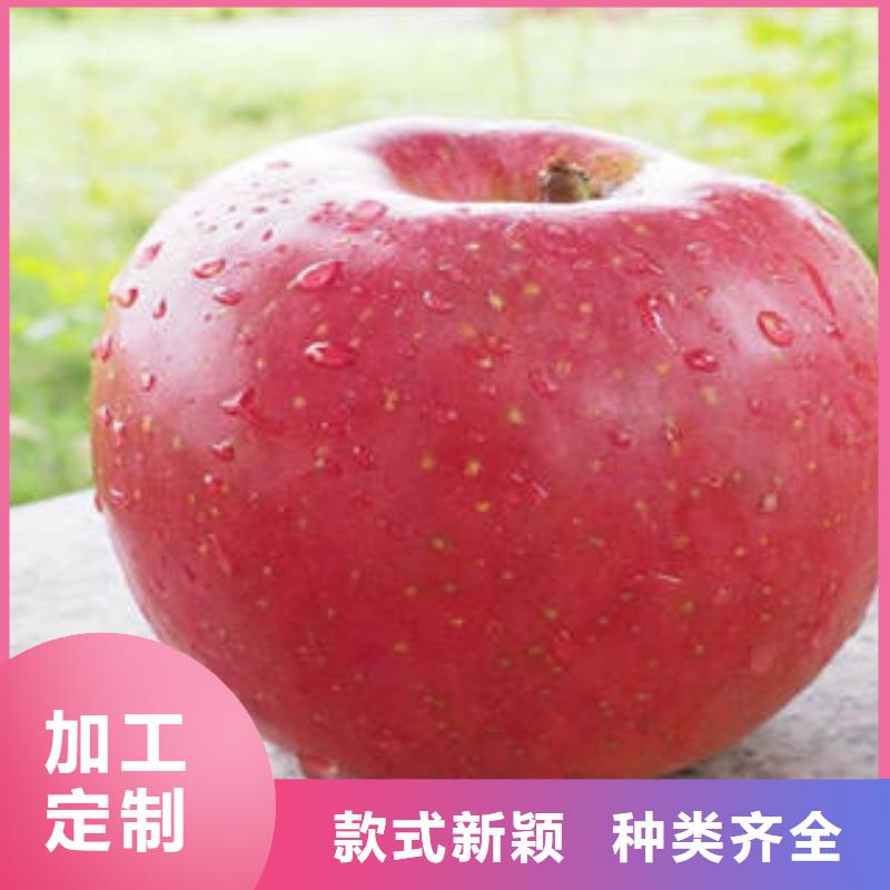 紅富士蘋果紅富士蘋果產(chǎn)地產(chǎn)品細節(jié)參數(shù)