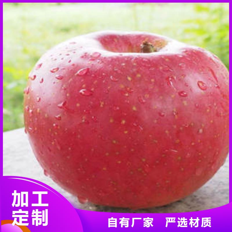 紅富士蘋果紅富士蘋果批發(fā)支持定制
