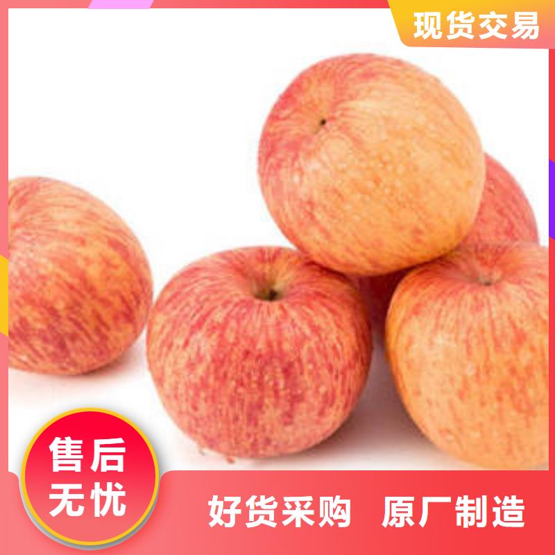 紅富士蘋果蘋果種植基地質(zhì)量檢測