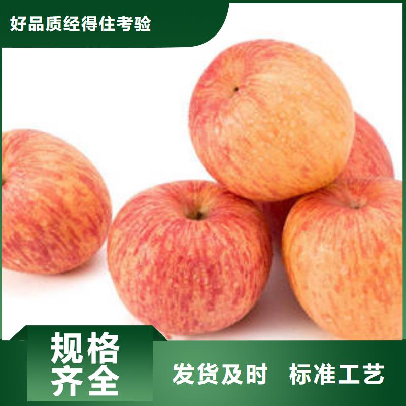 紅富士蘋果紅富士蘋果產(chǎn)地快捷物流