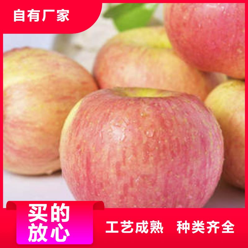 紅富士蘋果批發(fā)貨源