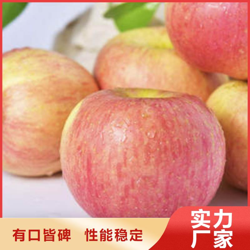 红富士苹果嘎啦苹果真诚合作