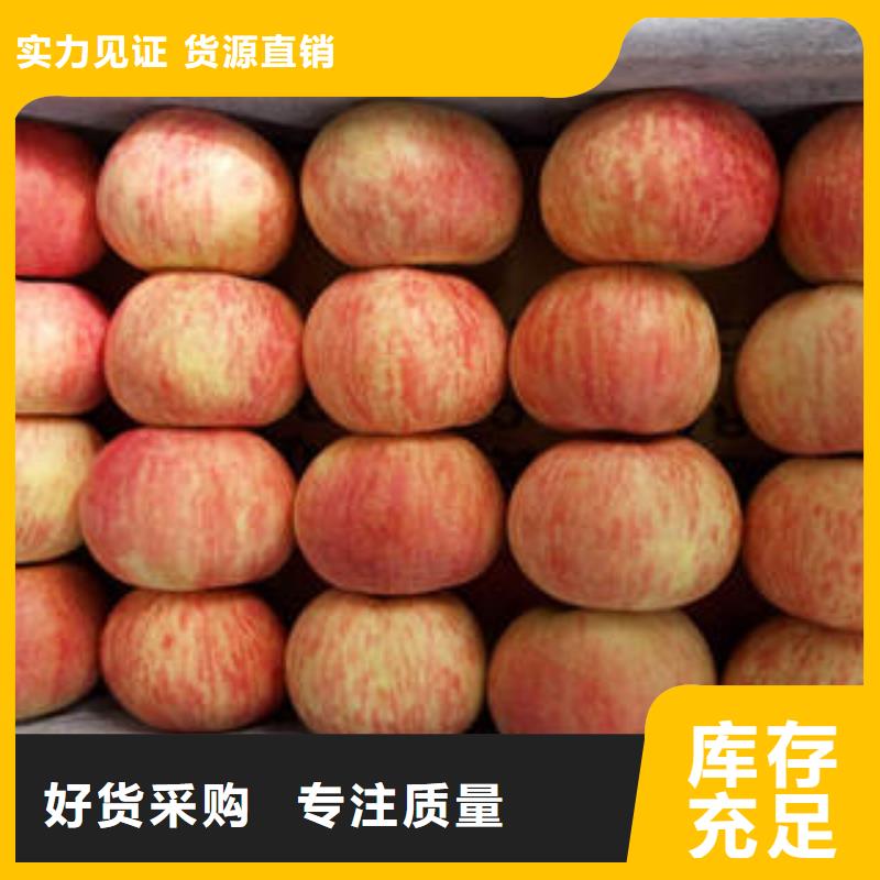 紅富士蘋果,蘋果源頭直供