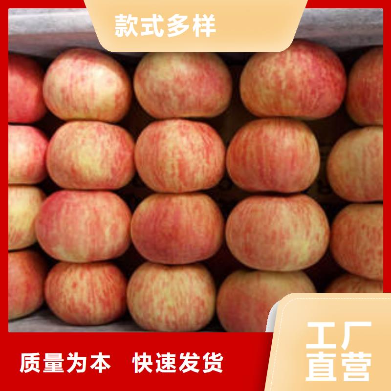紅富士蘋果物美價優(yōu)