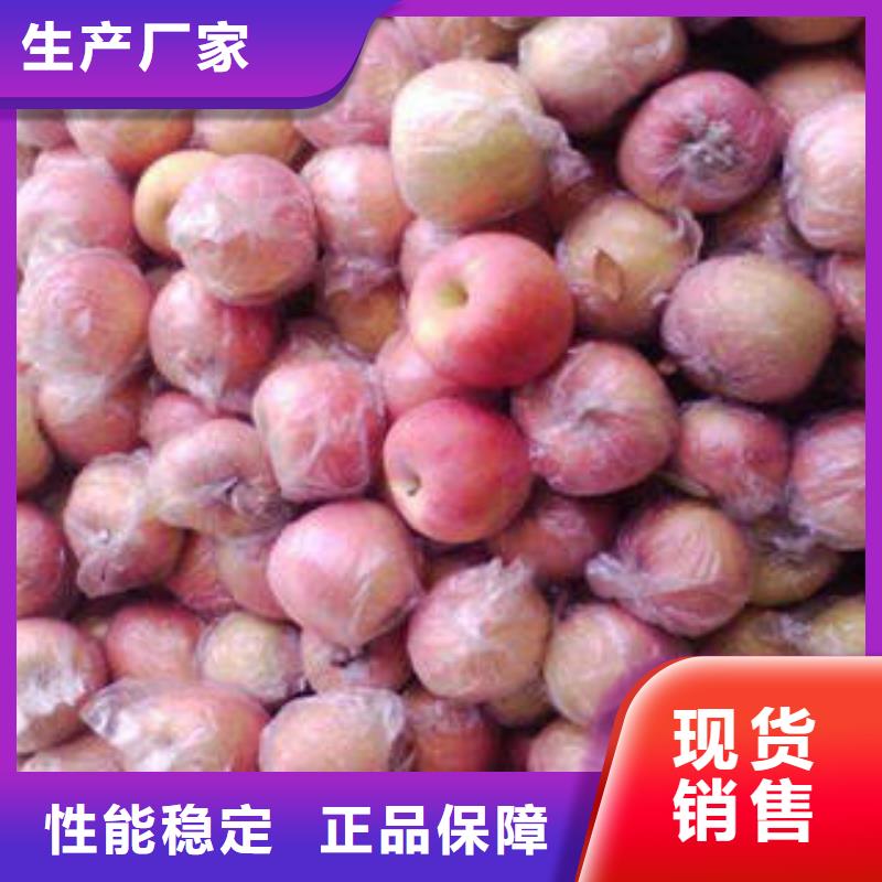 紅富士蘋果紅富士蘋果產(chǎn)地產(chǎn)品細節(jié)參數(shù)
