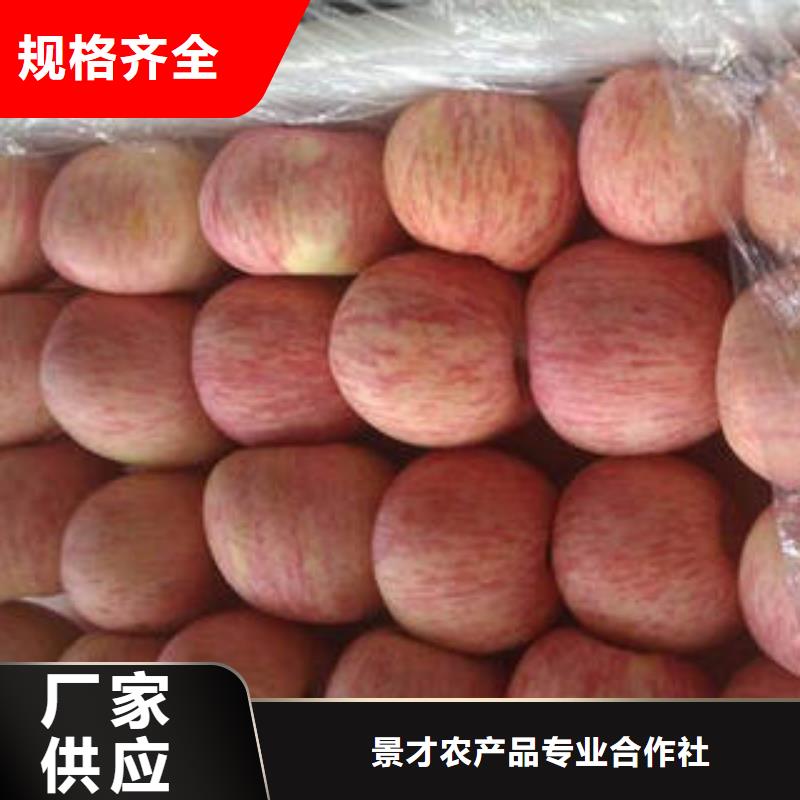 紅富士蘋果工廠直銷