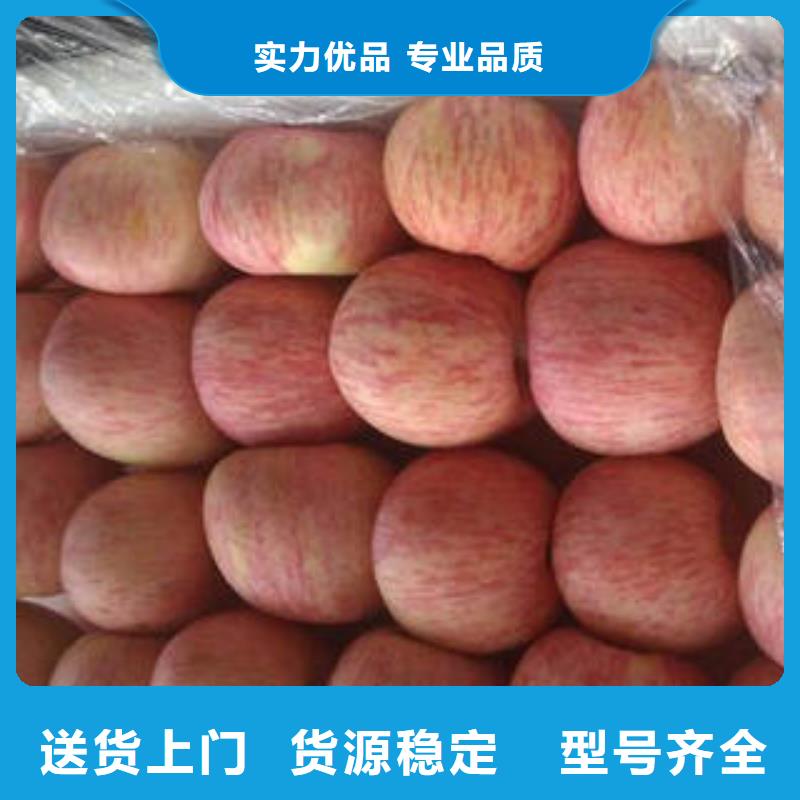 紅富士蘋果豐富的行業(yè)經(jīng)驗