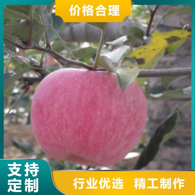 红富士苹果红富士苹果批发诚信商家服务热情