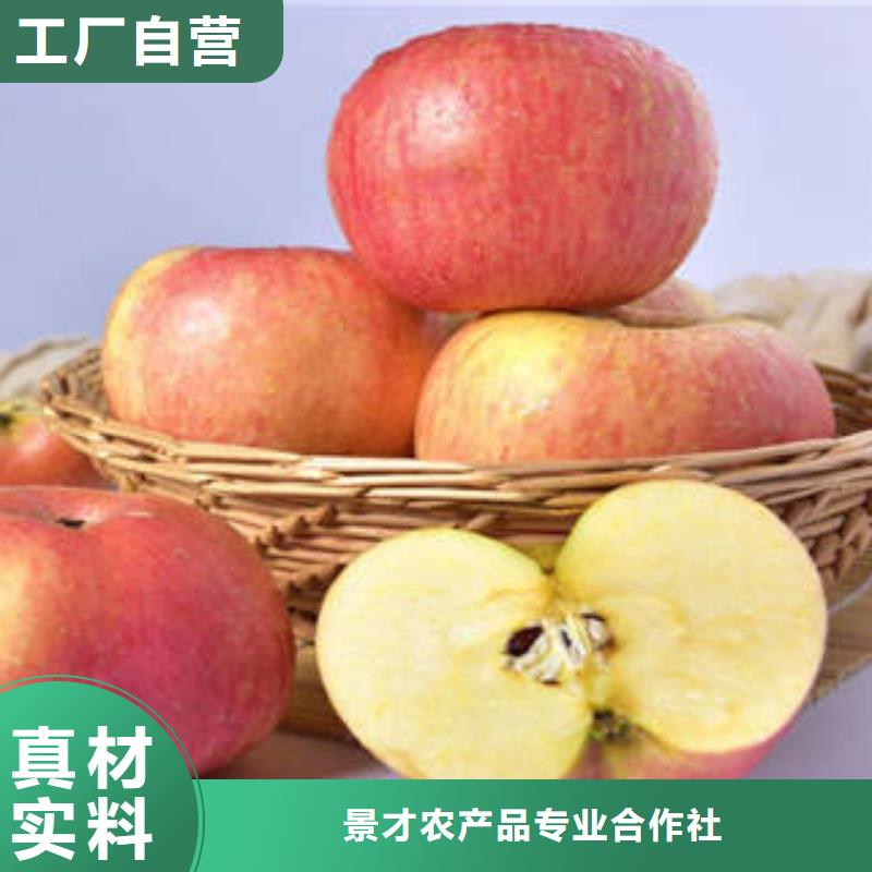 紅富士蘋果嘎啦蘋果免費(fèi)詢價