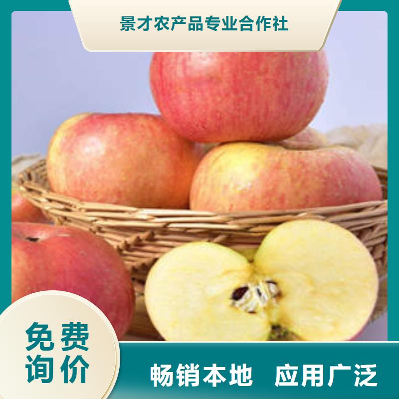 紅富士蘋果紅富士蘋果產(chǎn)地快捷物流