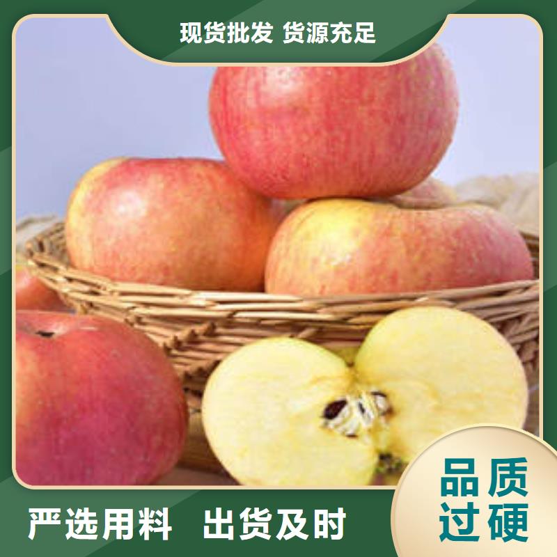 紅富士蘋果,蘋果源頭直供