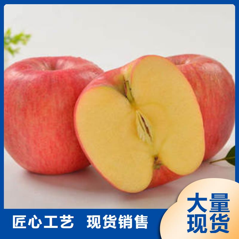 紅富士蘋果嘎啦蘋果免費(fèi)詢價