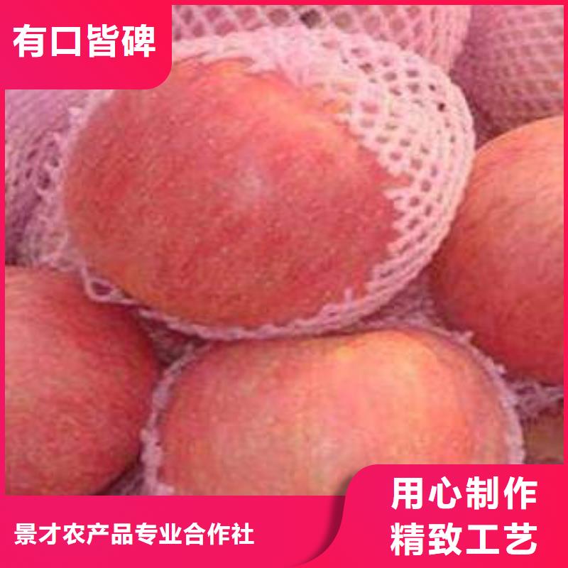 紅富士蘋果,蘋果源頭直供