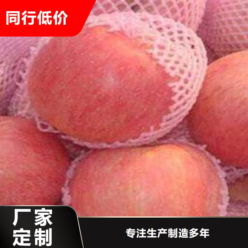 红富士苹果热销产品