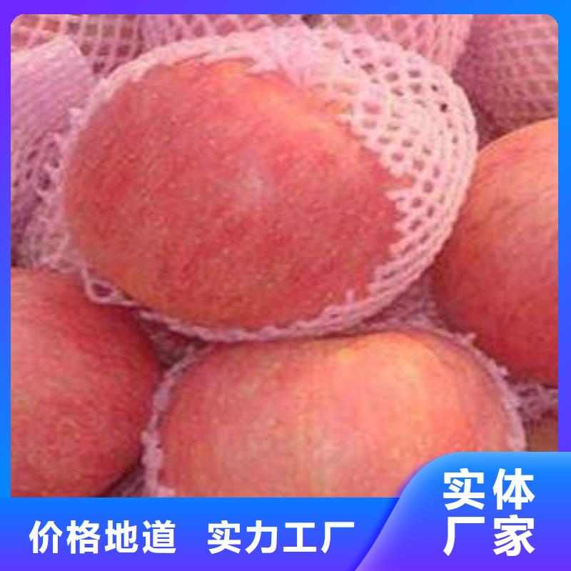紅富士蘋果紅富士蘋果產(chǎn)地產(chǎn)品細節(jié)參數(shù)