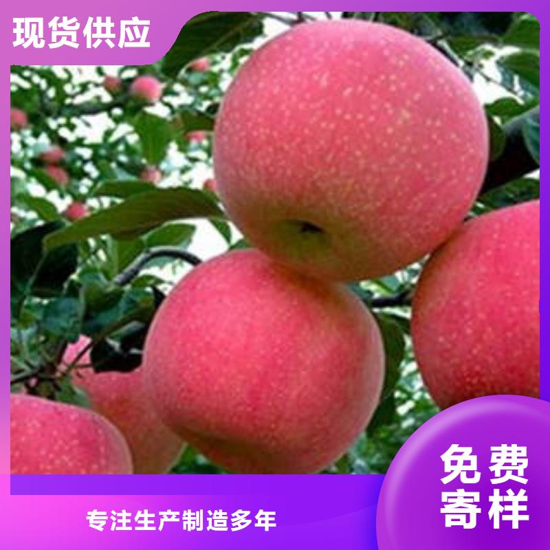紅富士蘋果,蘋果源頭直供