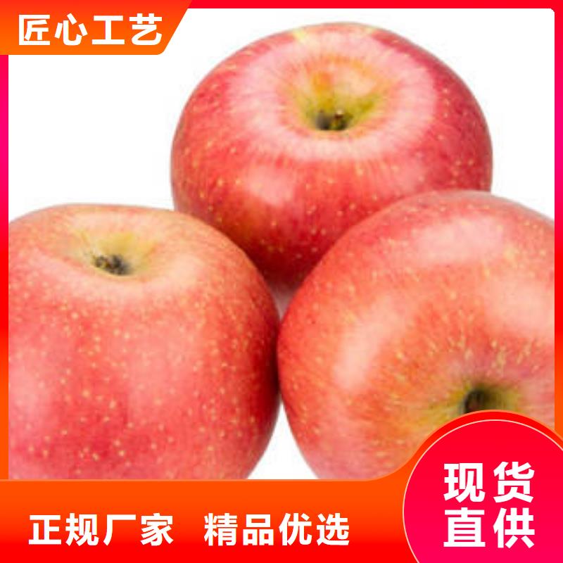 紅富士蘋果紅富士蘋果產(chǎn)地產(chǎn)品細節(jié)參數(shù)