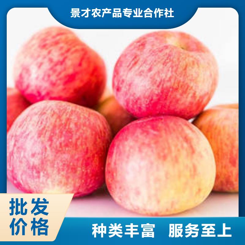 紅富士蘋果紅富士蘋果產(chǎn)地產(chǎn)品細節(jié)參數(shù)