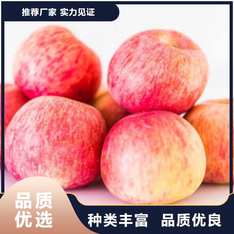 紅富士蘋果,蘋果源頭直供