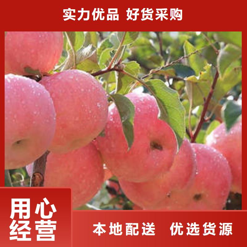 紅富士蘋果紅富士蘋果產(chǎn)地產(chǎn)品細節(jié)參數(shù)