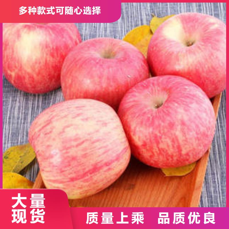 紅富士蘋果紅富士蘋果產(chǎn)地快捷物流