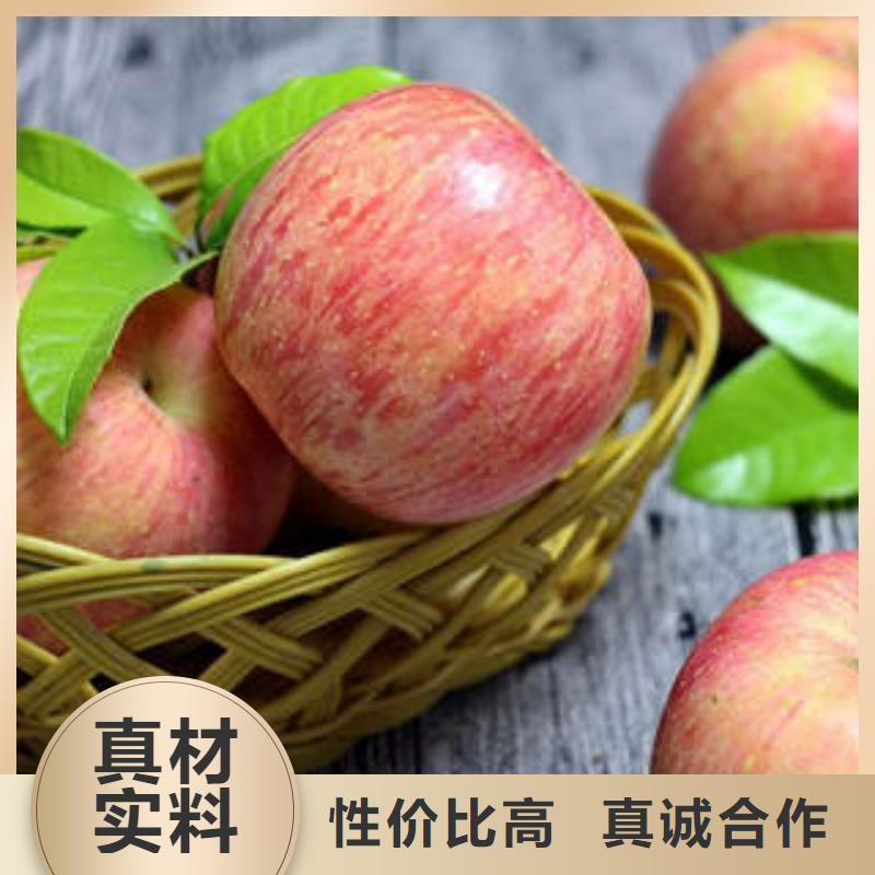 红富士苹果热销产品