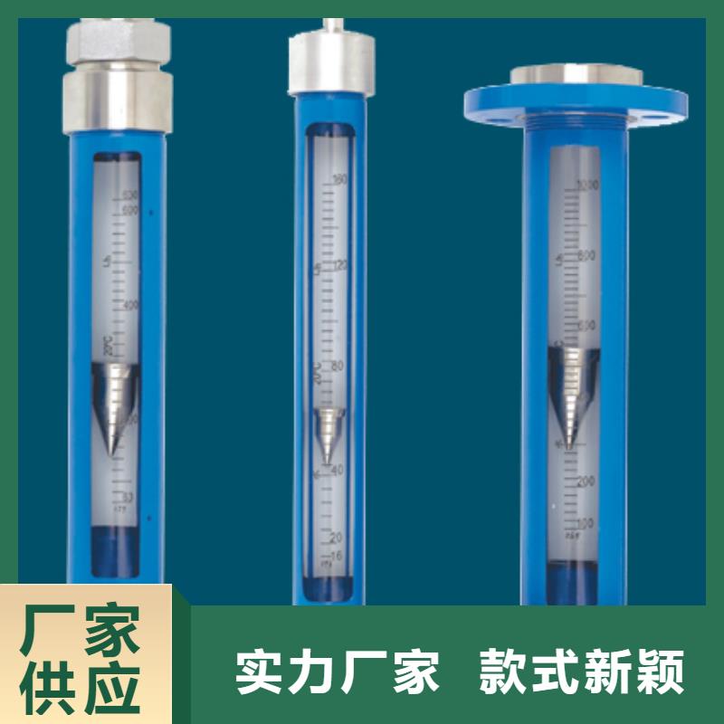 G10轉(zhuǎn)子流量計(jì)廠家實(shí)力雄厚