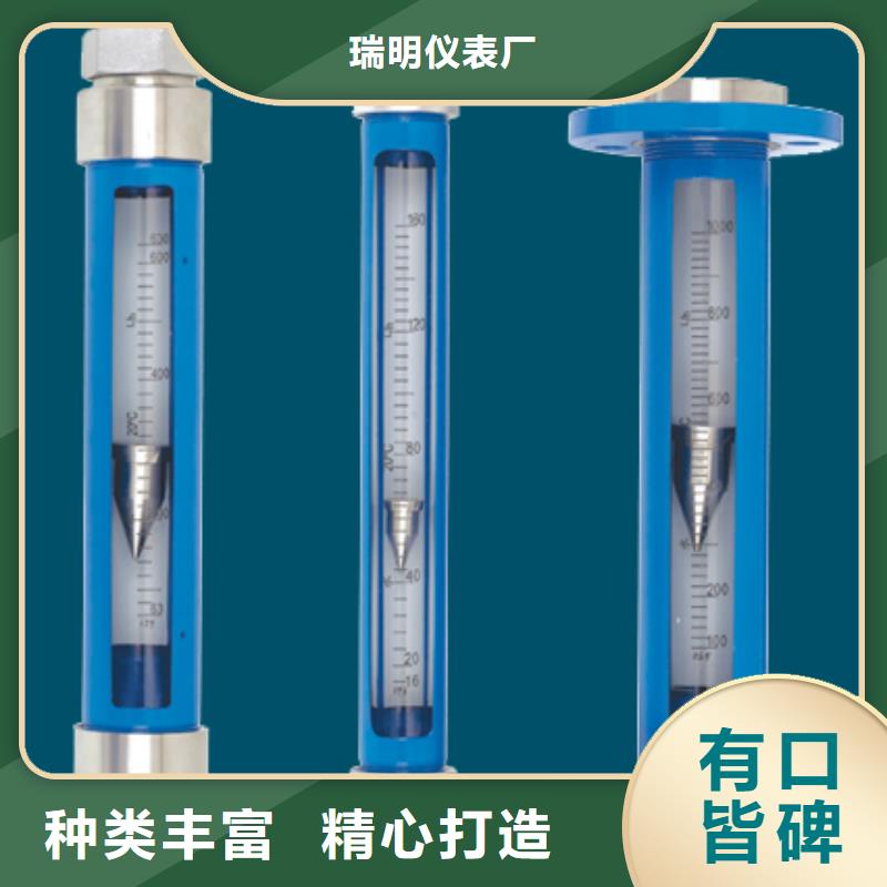 G10轉(zhuǎn)子流量計一站式采購方便省心