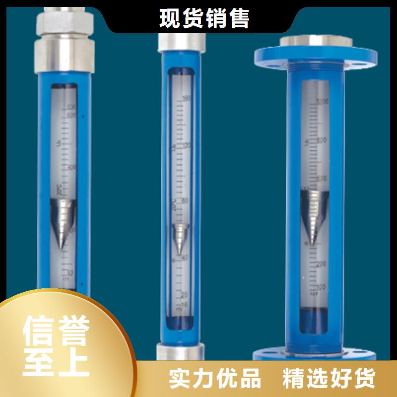 G10玻璃流量計N年生產(chǎn)經(jīng)驗