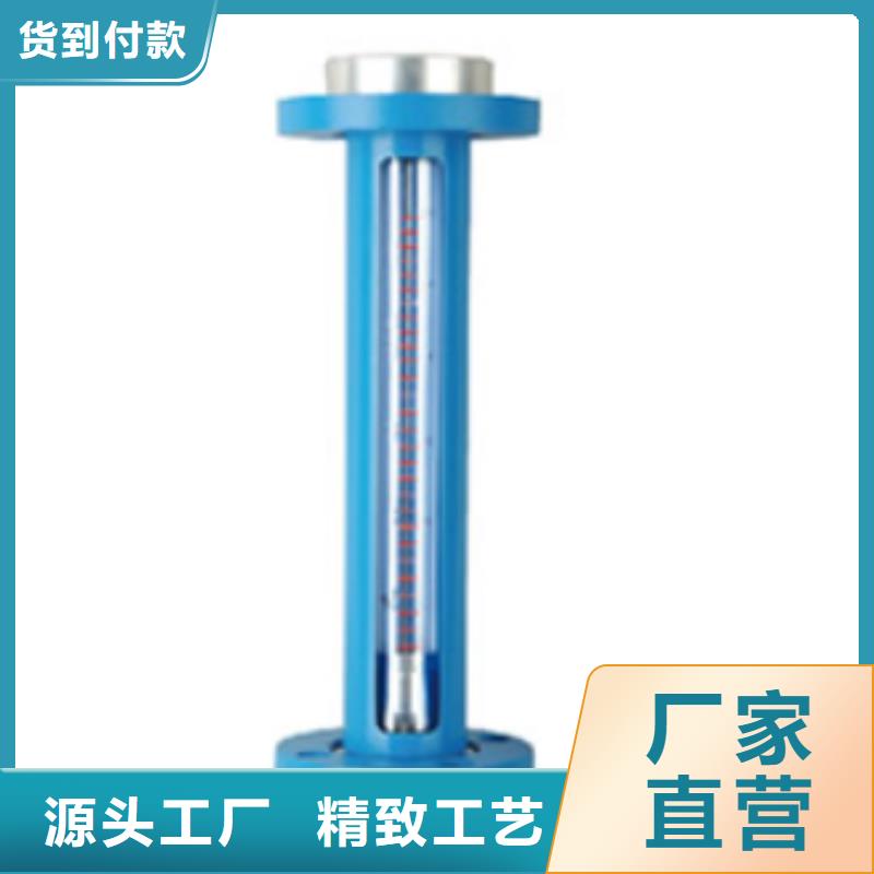 G10轉(zhuǎn)子流量計一站式采購方便省心