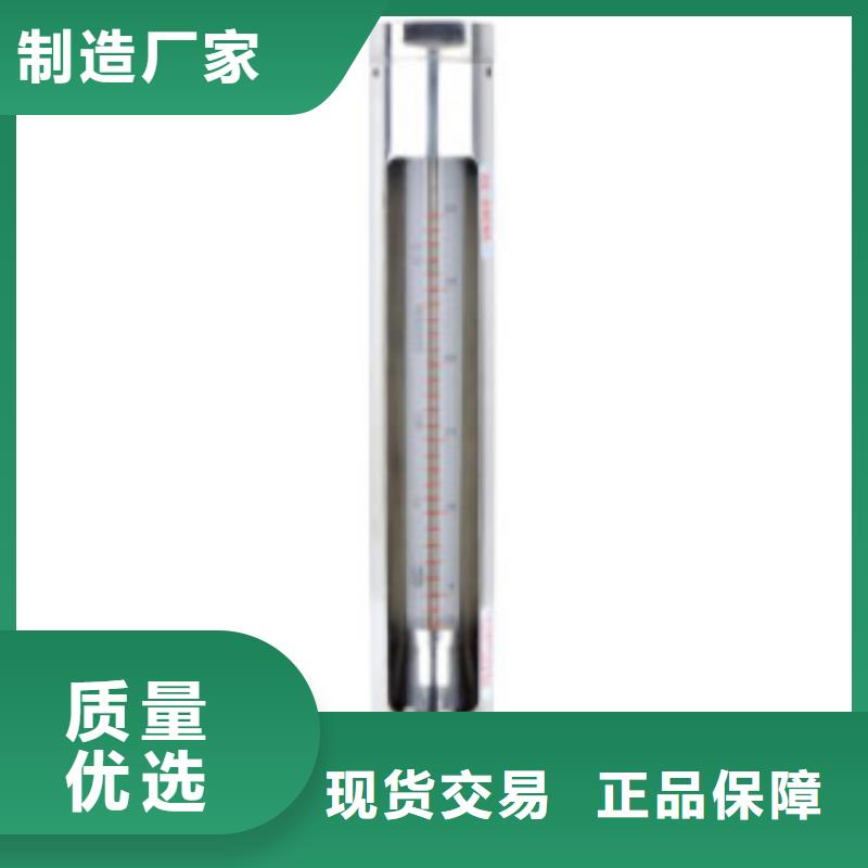 G10轉(zhuǎn)子流量計一站式采購方便省心