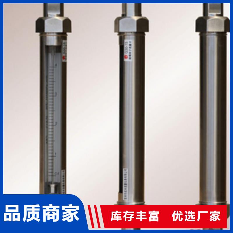 G10轉(zhuǎn)子流量計一站式采購方便省心