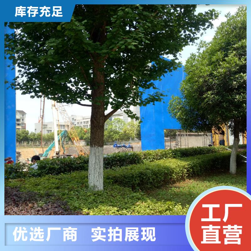 广告素材信誉至上