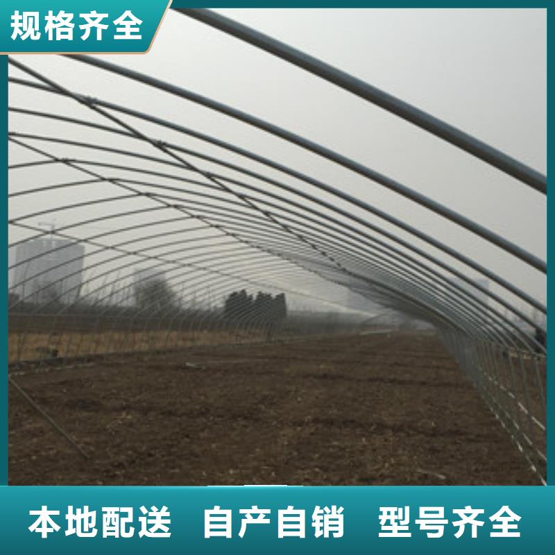 大棚管_槽鋼專業(yè)完善售后