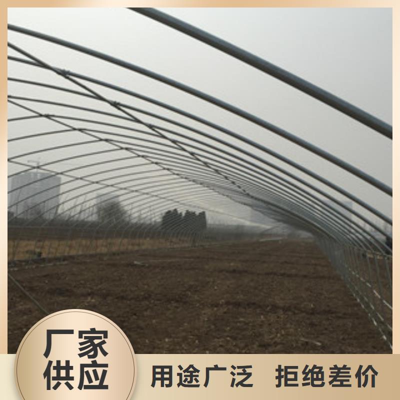 大棚管H型钢保质保量