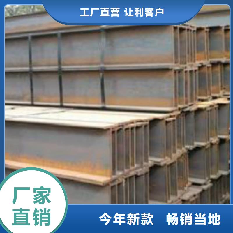 H型钢【D】专注生产N年