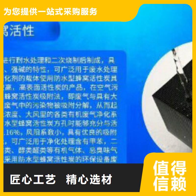 蜂窩活性炭-【聚丙烯酰胺】廠家新品
