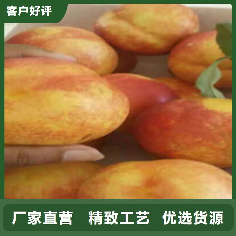 桃树苗花椒苗核心技术