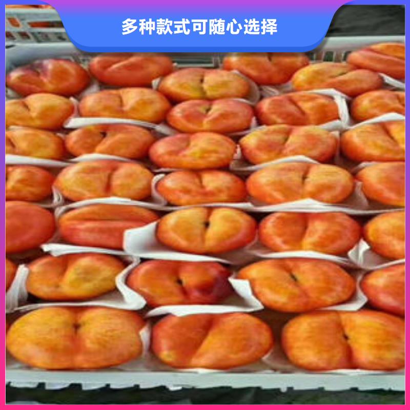 桃樹苗_梨樹苗廠家案例