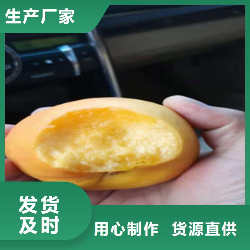 桃樹苗_花椒苗優(yōu)選原材