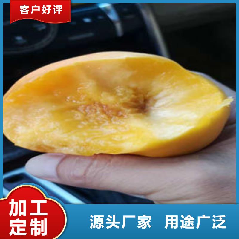 桃树苗核桃苗诚信厂家