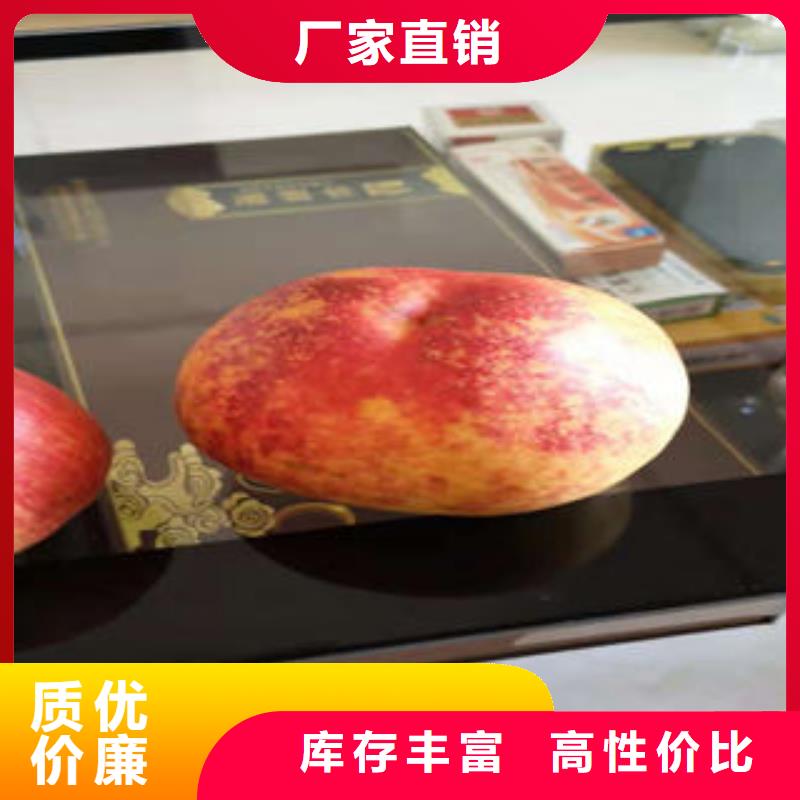 桃树苗_梨树苗厂家案例
