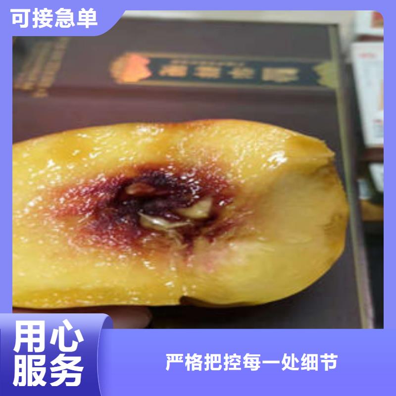 桃树苗-花椒苗通过检测