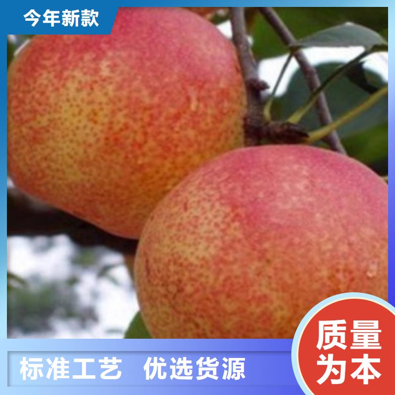 梨樹(shù)苗核桃苗產(chǎn)品細(xì)節(jié)參數(shù)