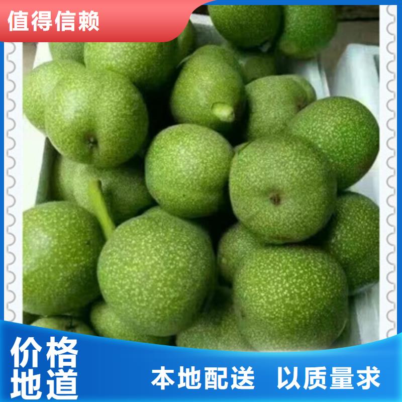 核桃苗山楂苗品質(zhì)做服務(wù)