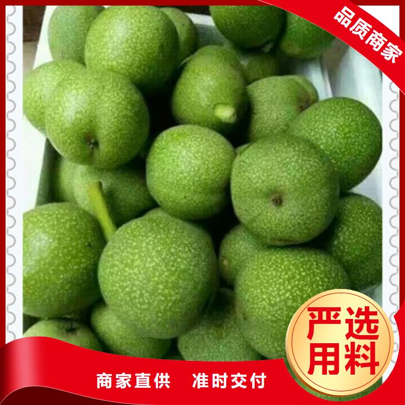 核桃苗藍(lán)莓苗質(zhì)量?jī)?yōu)選