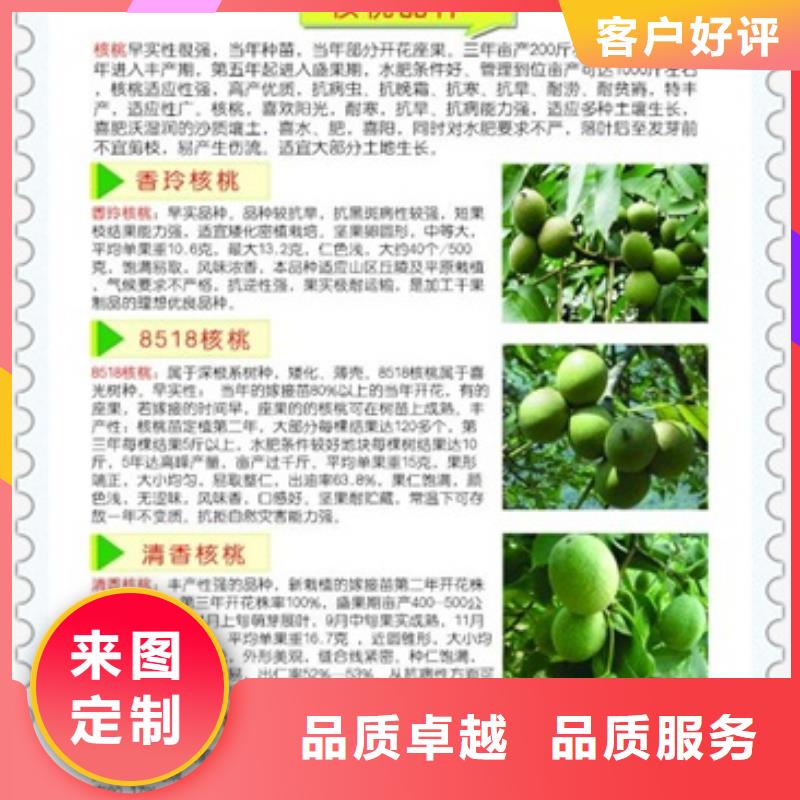 核桃苗藍(lán)莓苗質(zhì)量?jī)?yōu)選