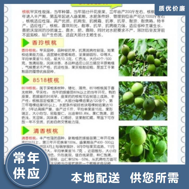 核桃苗山楂苗源头厂家来图定制