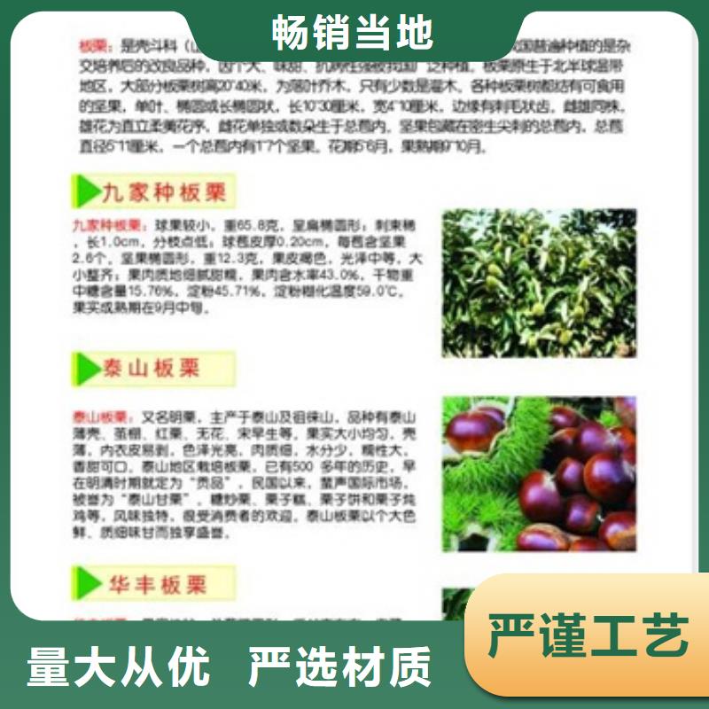 板栗苗_桃樹(shù)苗好品質(zhì)經(jīng)得住考驗(yàn)